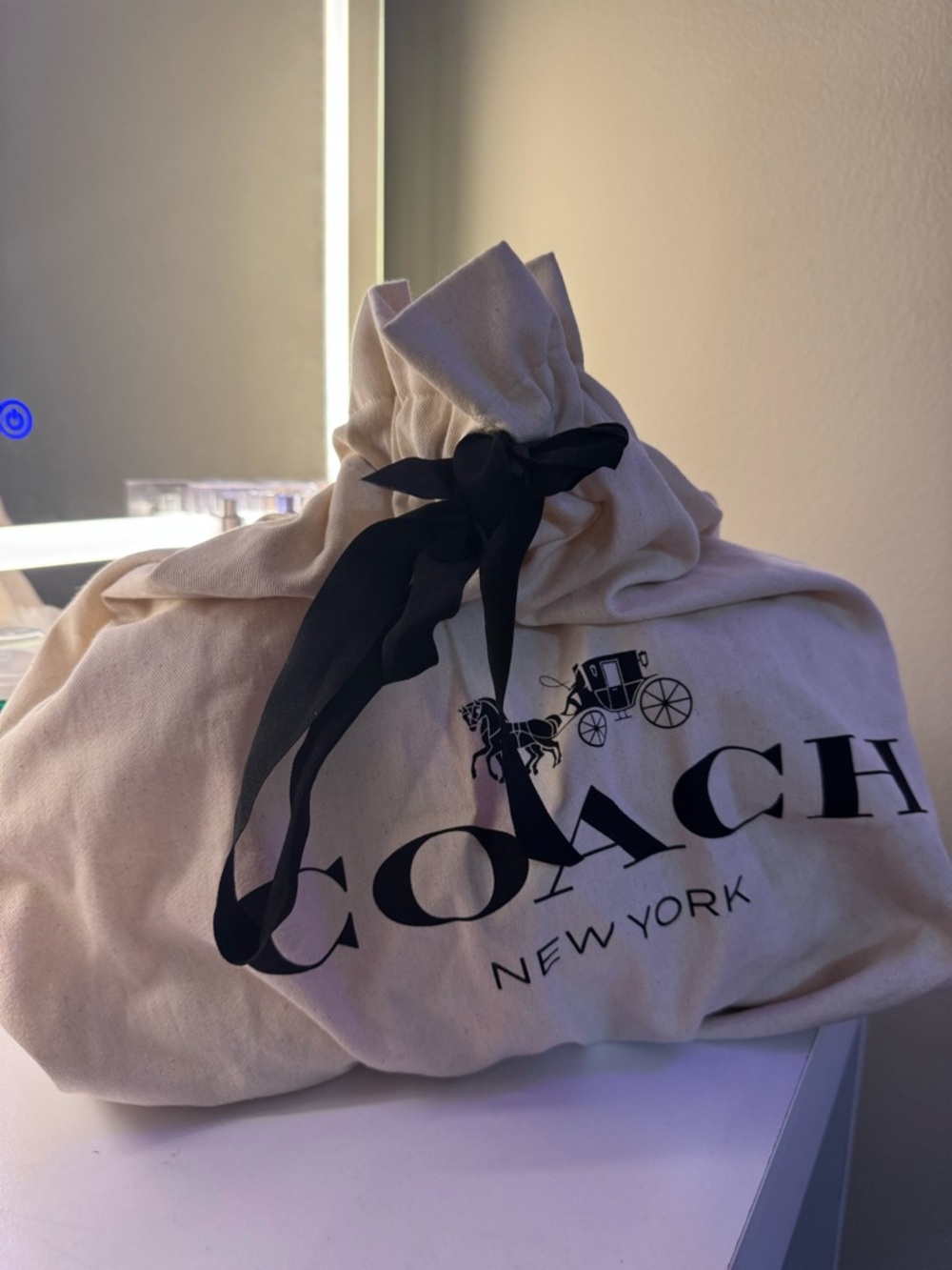 Coach Sage Chain Tabby - Picture 11 of 11